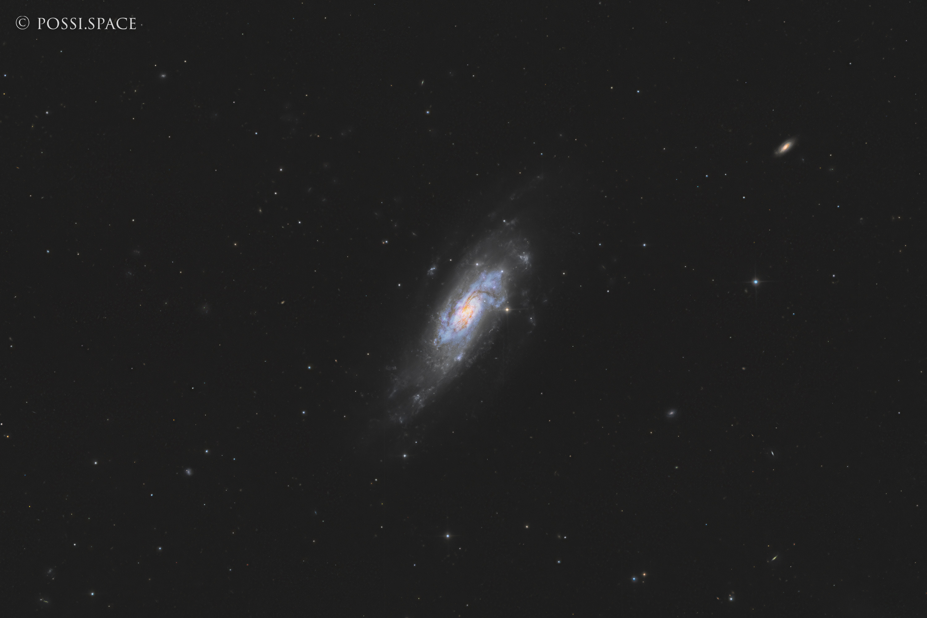 260322_ngc4559_koi_fish_galaxy_-_cdk17_nativ_hlrgb.jpg