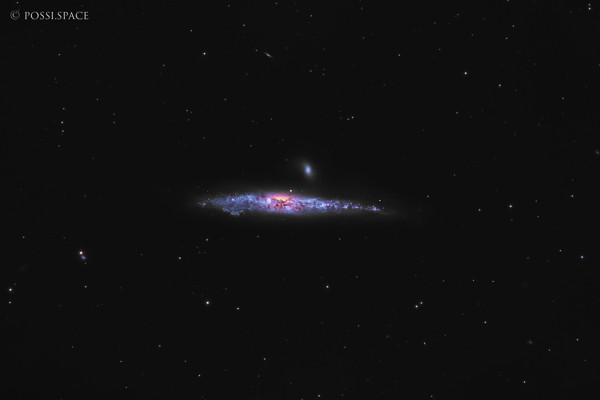 Click for full size 260310_ngc4631_whale_galaxy_-_cdk17_native_lrgb.jpg