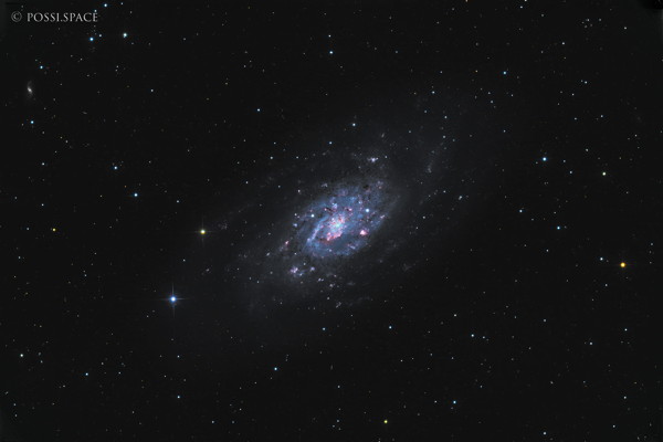 Click for full size 260319_ngc2403_galaxy_in_camelopardis_-_cdk17_native_lhrgb.jpg