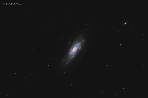 Click for full size 260322_ngc4559_koi_fish_galaxy_-_cdk17_nativ_hlrgb.jpg